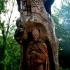 fotografía de templario tallado en un arbol