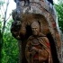 fotografía de templario tallado en un arbol