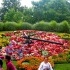 fotografía de reloj de flores de Ginebra