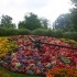 fotografía de reloj de flores de Ginebra