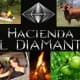 Avatar de HACIENDA EL DIAMANTE