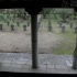 fotografía de Cementerio Alemán