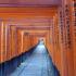 fotografía de Fushimi Inari Taisha